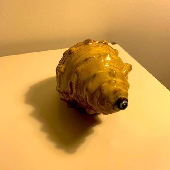 Tie & Tale Beach Theme Seashell Decor Size OS EUC - Picture 5 of 5